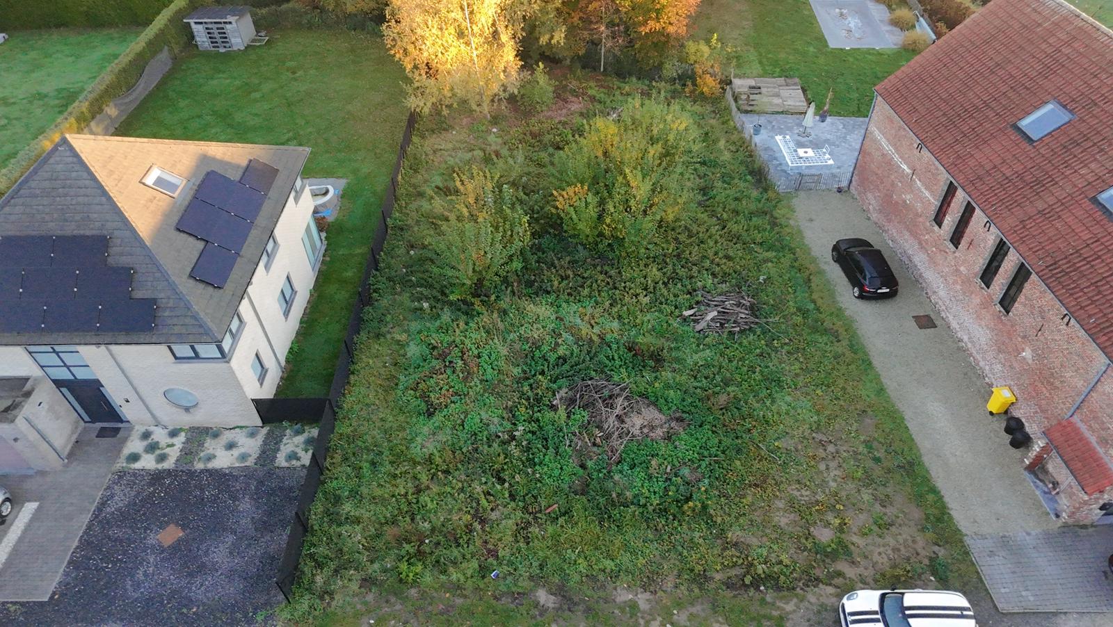 Before Image